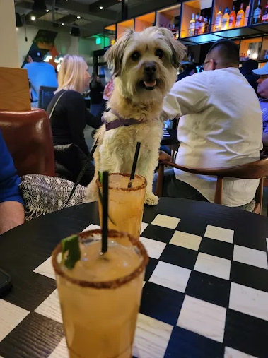 upstairs-caroline-restaurant