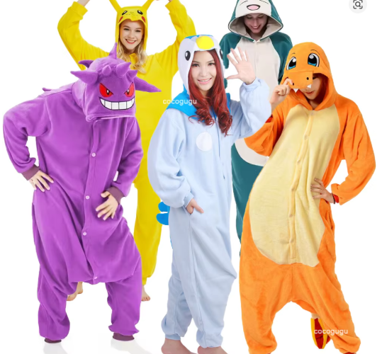 pokemon-costume-for-women-price-image1