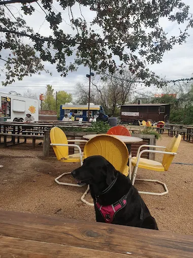 top-10-best-dog-friendly-restaurants-in-downtown-austin-texas-usa